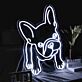 Französische Bulldogge LED-Neonschild Wohnzimmer Haustierladen