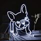 Französische Bulldogge LED-Neonschild Wohnzimmer Haustierladen