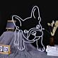 Französische Bulldogge LED-Neonschild Wohnzimmer Haustierladen