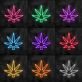 Cannabisblatt LED-Neonschild für Bar Club
