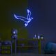 fliegender Papagei LED-Neonschild für Kinderzimmer und Wohnzimmer