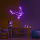 fliegender Papagei LED-Neonschild für Kinderzimmer und Wohnzimmer