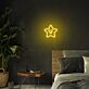 Lächelnder Stern LED-Neonschild