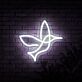 Kolibri LED-Neonschild Wohnzimmer Cafe