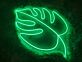 Monstera Blatt LED-Neonschild Wohnzimmer Cafe