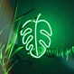 Monstera Blatt LED-Neonschild Wohnzimmer Cafe
