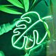 Monstera Blatt LED-Neonschild Wohnzimmer Cafe