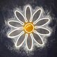 Gänseblümchen LED-Neonschild für Wohnzimmer Schlafzimmer