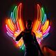 Buntes LED Neonschild mit Flügel Motiv als moderne Wanddekoration für Fotoshootings Bars und Wohnräume