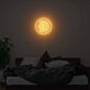 Rundes LED Neonschild mit Dogecoin Symbol für Gaming Zimmer Home Office oder digitale Dekoration
