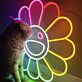 Smiley-Blume als LED-Neonschild