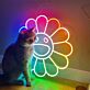 bunte lächelnde Blume LED-Neonschild Wohnzimmer Kinderzimmer