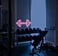 Hantel LED Neonschild für Home Gym Fitnessraum und moderne Wandbeleuchtung