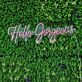 Hello Gorgeous Neon Sign