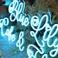 Blue Lily Cake & Florist als LED-Neonschild