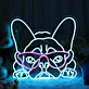 Cooles Französische Bulldogge LED Neonschild mit Sonnenbrille für moderne Wanddekoration