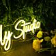 Nieves Family Studio LED-Neonschild für Studio und Zuhause