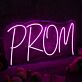 PROM LED-Neonschild für Party Event