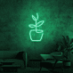 Topfpflanze LED-Neonschild Wohnzimmer