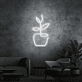 Topfpflanze LED-Neonschild Wohnzimmer