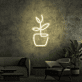 Topfpflanze LED-Neonschild Wohnzimmer