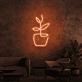 Topfpflanze LED-Neonschild Wohnzimmer