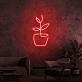 Topfpflanze LED-Neonschild Wohnzimmer