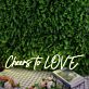 Cheers to LOVE LED-Neonschild für Hochzeit und Bar