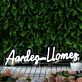 Aarden Homes LED-Neonschild für Immobilienbüro