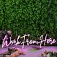 Work From Here Pink Neon Sign