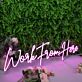 Work From Here Pink Neon Sign