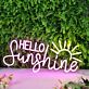 Hello Sunshine Pink Custom Neon Sign