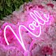 Noelle Pink Neon Sign
