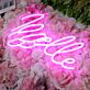 Noelle Pink Neon Sign