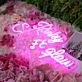Pinky Shelbys Glow Pink Neon Sign