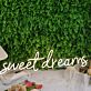 Sweet Dreams Yellow Neon Sign