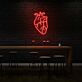 menschliches Herz LED-Neonschild Wohnzimmer Praxis