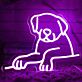 Hundekontur LED-Neonschild Wohnzimmer Kinderzimmer