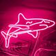 Hai als LED-Neonschild