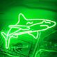 Hai als LED-Neonschild