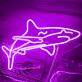Hai als LED-Neonschild