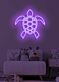 Turtle Neon Slow and Steady Wins the Race