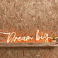 Dreaming  Big Neon Dreamscape for Visionaries