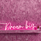 Dreaming  Big Neon Dreamscape for Visionaries