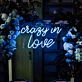 crazy in love LED-Neonschild für Hochzeit und Party