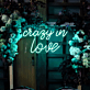 crazy in love LED-Neonschild für Hochzeit und Party