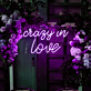 crazy in love LED-Neonschild für Hochzeit und Party
