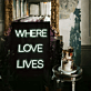 WHERE LOVE LIVES LED-Neonschild für Hochzeit Event