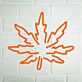 Cannabisblatt LED-Neonschild für Bar Club
