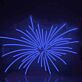 Abstraktes Feuerwerk Neon LED Licht